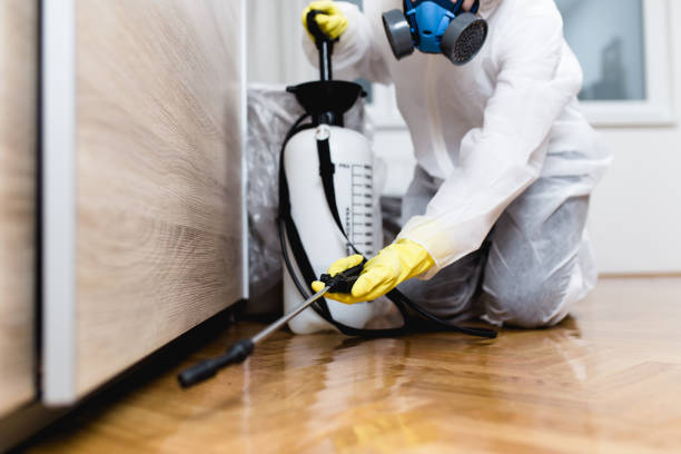 Best Wildlife Control Services  in Vail, CO