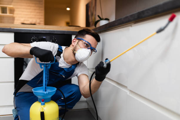Best Pest Control Near Me in Vail, CO