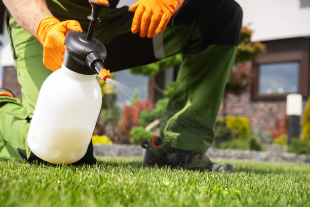 Best Insect Control  in Vail, CO