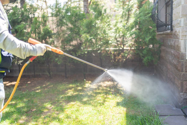 Wildlife Control Services in Vail, CO