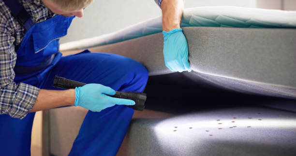 Best Rat Extermination Near Me  in Vail, CO
