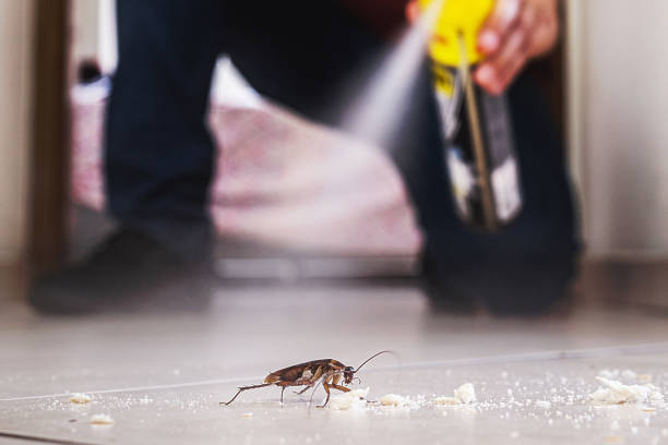 Vail, CO Pest Control Company