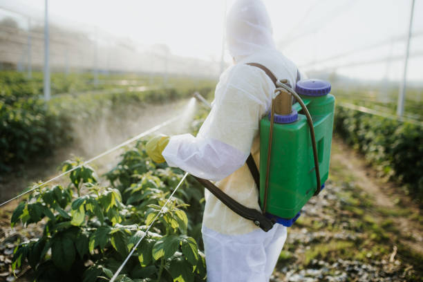 Best Pest Control for Businesses  in Vail, CO